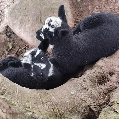 Rainors Farm Gosforth (Cumbria)