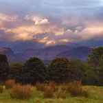 Rainors Farm