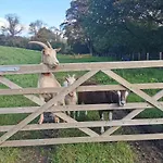 公寓 Rainors Farm