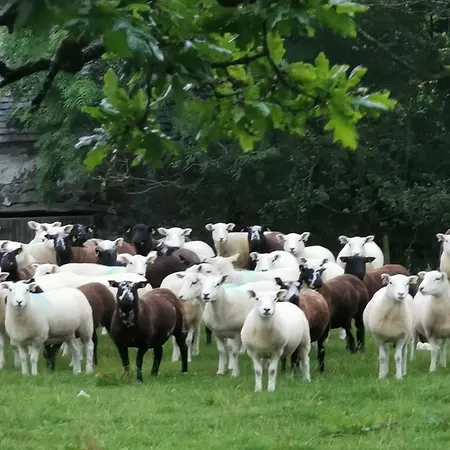 Rainors Farm * Gosforth (Cumbria)
