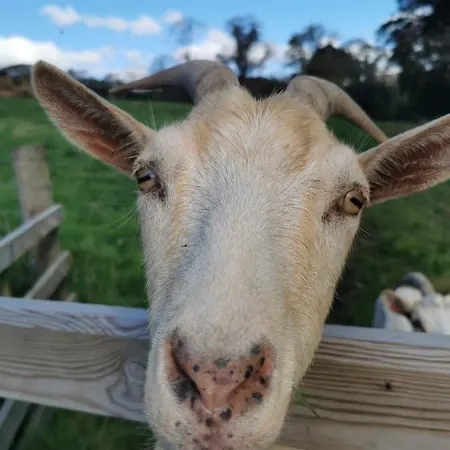 Rainors Farm