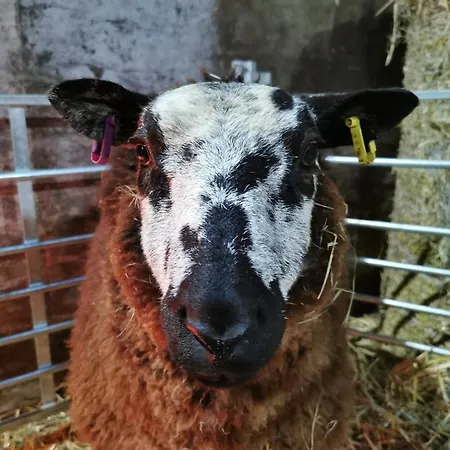 Apartament Rainors Farm *