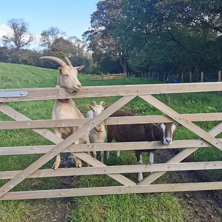 公寓 Rainors Farm