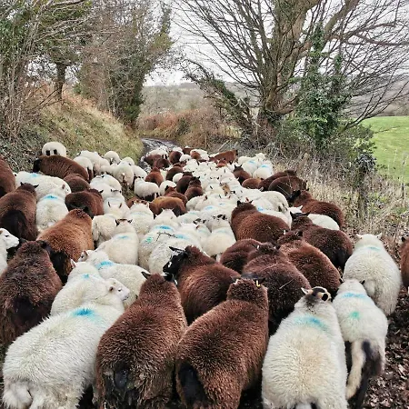 Rainors Farm